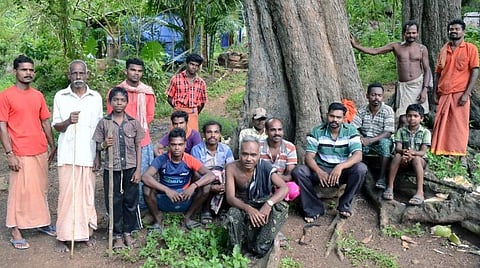 காணி பழங்குடி குடியிருப்பு