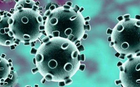 நெல்லையில் இன்று ஒரே நாளில் 167 பேருக்கு கரோனா