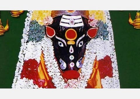 வாராஹியை நினைத்து விளக்கேற்றுங்கள்;  தீய சக்தியை விரட்டும் பஞ்சமி வழிபாடு! 