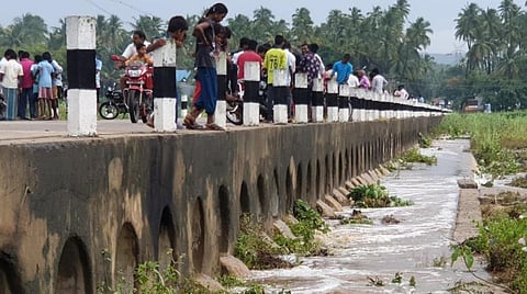 கொடையாஞ்சி பகுதியில் பாலாற்றில் வெள்ளப்பெருக்கு ஏற்பட்டதை ஆவலுடன் பார்க்கும் பொதுமக்கள்.