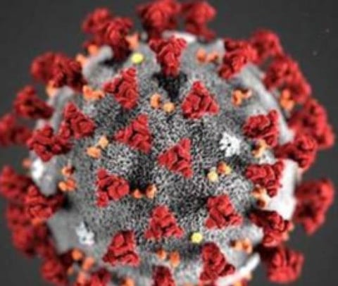 பிரதிநிதித்துவப் படம்.