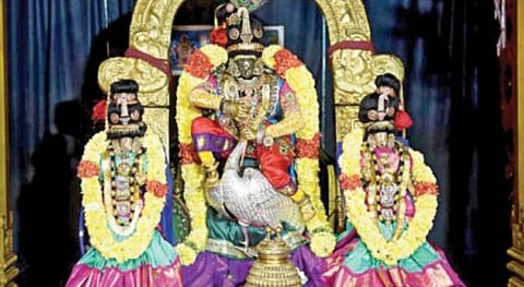 விட்டுக்கொடுக்கும் குணம், அம்மா கிழித்த கோடு; உணவுப்பிரியர், சகோதரப் பாசம்! 27 நட்சத்திரங்கள் ; ஏ டூ இஸட் தகவல்கள் - 68 ; திருவோண மகிமை