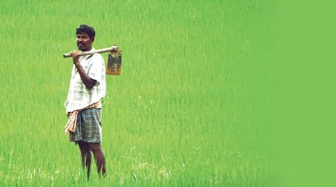 வேளாண்மை: நம்பிக்கையின் ஒளிக் கீற்று