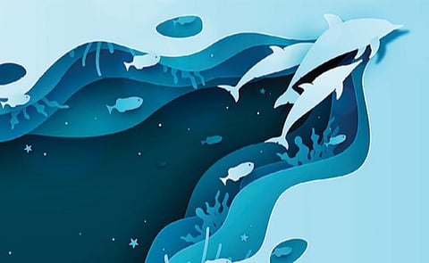 படமும் செய்தியும்: புத்திசாலி டால்பின்கள்!