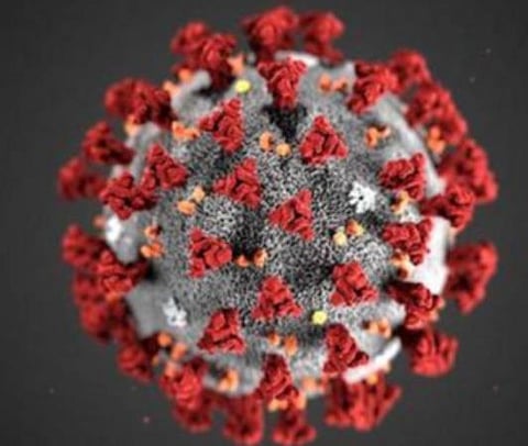 பிரதிநிதித்துவப் படம்