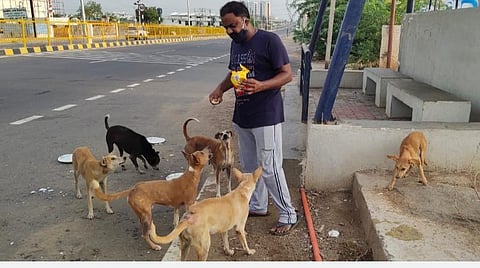சர்வதேச நாய் வளர்ப்பு தினம்; சமூக நாய்களைக் கொண்டாடும் ‘நன்றி மறவேல்’ கூட்டமைப்பு!