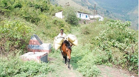 தேனி அருகே மலைகிராம வனப்பாதை மூடல்: விளைபொருட்களை கொண்டு வருவதில் சிக்கல்
