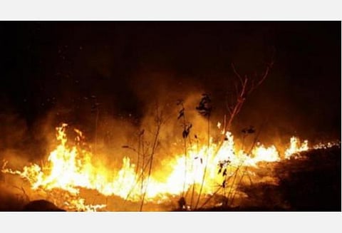 அமேசான் காட்டுத் தீயால் ஆயிரக்கணக்கான பிரேசில் மக்கள் பாதிப்பு