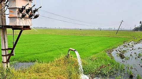 இலவச மின்சார இணைப்புப் பெற கால அவகாசம் வழங்க விவசாயிகள் கோரிக்கை
