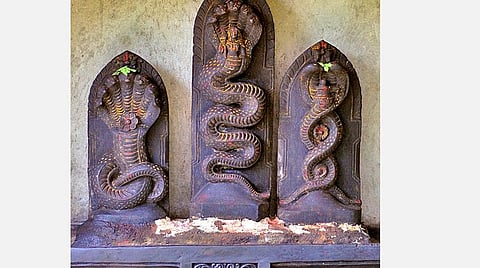 ராகு - கேது பெயர்ச்சி; அரசியல் மாற்றம், பொருளாதார ஏற்றம், திடீர் அழிவு ஏற்படும்! 