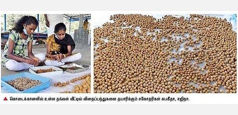 கொடைக்கானலில் உள்ள தங்கள் வீட்டில் விதைப்பந்துகளை தயாரிக்கும் சகோதரிகள் சுபகீதா, சஜிதா.