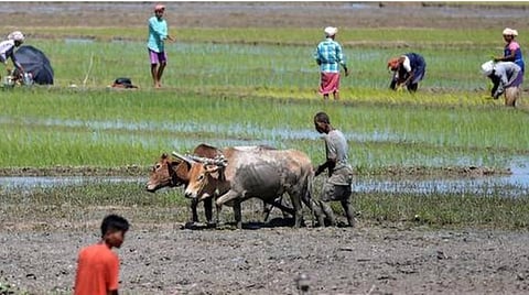பிரதிநிதித்துவப் படம்.