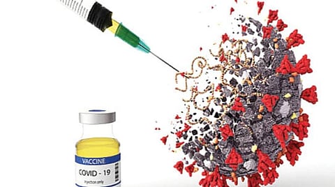 மதுரையில் விரைவில் பிளாஸ்மா வங்கி தொடக்கம்: கரோனாவில் இருந்து குணமடைந்தவர்களிடம் பிளாஸ்மா சேகரிப்பு தீவிரம்