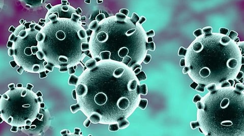 அரசு வெளியிடும் பட்டியலின்படி நெல்லையில் கரோனாவுக்கு 185 பேர் மரணம்: 285 பேர் உயிரிழந்தது தகவல் அறியும் உரிமை சட்டத்தில் வெளிச்சம்