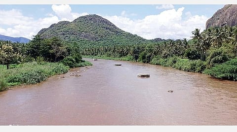 தொடர் மழையால் மூல வைகையில் பெருக்கெடுத்து ஓடும் தண்ணீர்.﻿