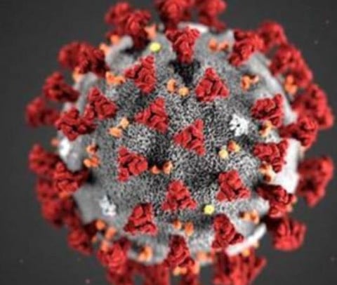 பிரதிநிதித்துவப் படம்