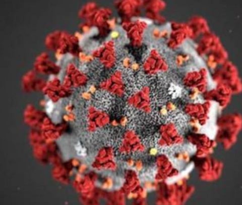 பிரதிநிதித்துவப் படம்.