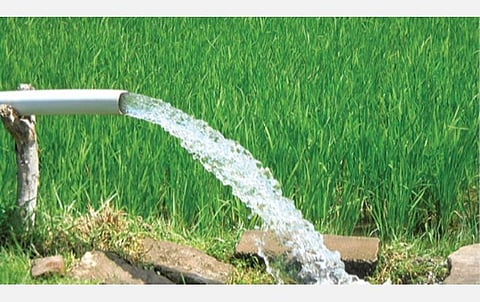 மின்வாரியத்தில் விண்ணப்பித்து 20 ஆண்டுகளாகின்றன; விவசாய மின் இணைப்புக்காக காத்திருக்கும் 4.74 லட்சம் விவசாயிகள்