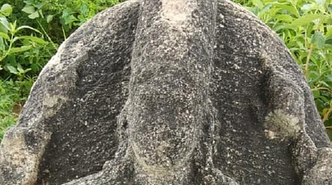 கி.பி 8-ம் நுாற்றாண்டு பாண்டியா் கால விஷ்ணு சிலை கண்டுபிடிப்பு: உறுதிப்படுத்திய மதுரை அரசு அருங்காட்சிய ஆய்வாளர்கள்