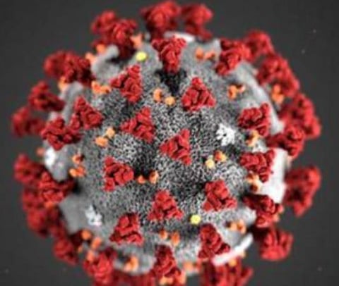 பிரதிநிதித்துவப் படம்