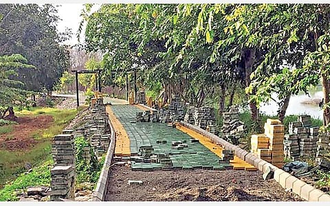 வெள்ளோடு பறவைகள் சரணாலயத்தில் பார்வையாளர்களுக்கான நடைபாதையில் கற்கள் பதிக்கும் பணி நடந்து வருகிறது.