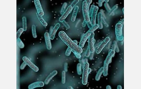 சீனாவில் வேகமாக பரவி வரும் புதிய வகை பாக்டீரியா தொற்று