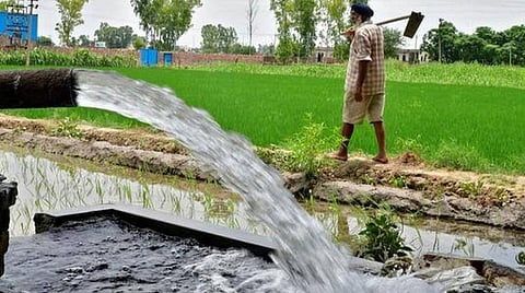 தமிழகத்தில் இந்த ஆண்டு 50 ஆயிரம் விவசாயிகளுக்கு இலவச மின் இணைப்புகள்: அமைச்சர் பி.தங்கமணி அறிவிப்பு