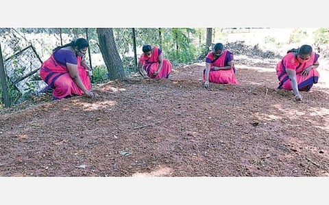 கோவையில் அங்கன்வாடி குழந்தைகள், கர்ப்பிணிகள் மற்றும் பாலூட்டும் தாய்மார்களுக்கு உதவும் வகையில் ‘ஊட்டச்சத்து தோட்டம்' அமைக்கப்பட்டு வருகிறது