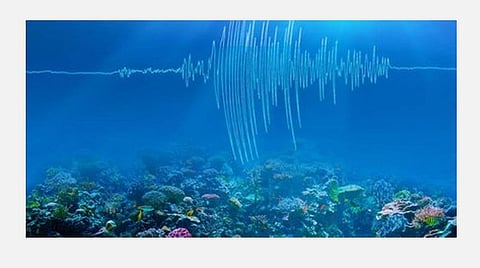 குறிப்புச்சுட்டுப் படம்.