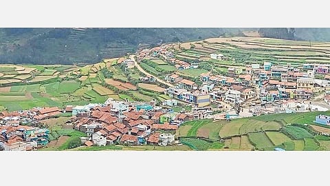 கொடைக்கானலில் புத்துயிர் பெறும் மலை கிராம சுற்றுலா: கிராம மக்களின் வழிகாட்டுதலில் இயற்கை எழிலை ரசிக்கலாம்