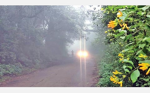 நீலகிரி மாவட்டத்தில் மீண்டும் கனமழை: கடும் குளிரால் பொதுமக்கள் அவதி