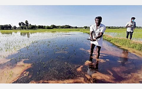 திருவாரூர் அருகே கீழ எருக்காட்டூரில் கச்சா எண்ணெய் குழாயில் உடைப்பு: ஒரு ஏக்கர் சம்பா நெற்பயிர்கள் சேதம்