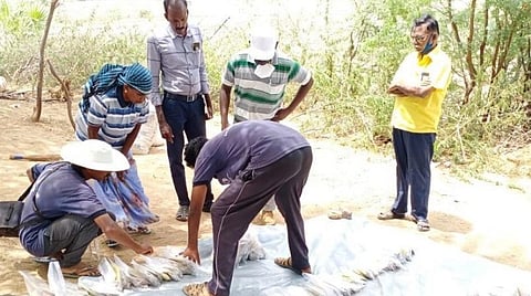 சிவகளை, ஆதிச்சநல்லூர் அகழாய்வுப் பகுதியில் லக்னோவைச் சேர்ந்த ஆராய்ச்சியாளர் நேரில் ஆய்வு