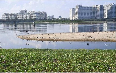 ரூ.6.90 கோடியில் ஆறுகள், கால்வாய்களில் ஆகாயத் தாமரைகளை அகற்றும் பணி மும்முரம்: அக்டோபர் 15-க்குள் பணிகளை முடிக்க திட்டம்