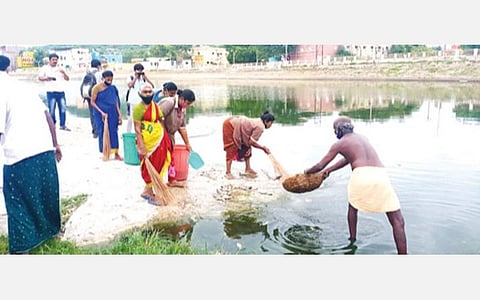 சரவணப் பொய்கையில் இறந்த மீன்களை அப்புறப்படுத்தும் பணியாளர்கள்.