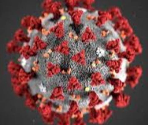 பிரதிநிதித்துவப் படம்