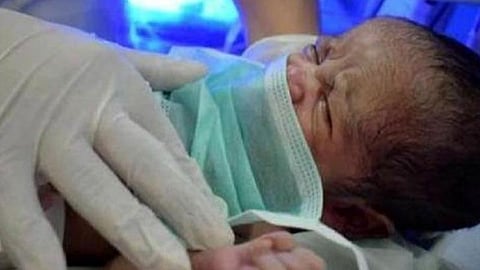 ஒரு நாளைக்கு 65 பிரசவங்கள் கூட நடக்கின்றன: மதுரை அரசு ராஜாஜி மருத்துவமனையில் அதிகரித்த பிரசவங்கள்- கரோனா வார்டில் 250 கர்ப்பிணிகளுக்கு ‘குவா.. குவா’