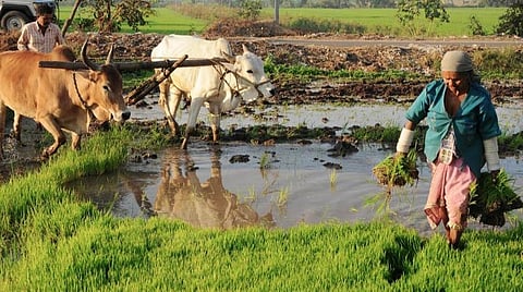 சேலம் மாவட்டத்தில் நடந்த கிசான் திட்ட மோசடியில் 1,200 பேர் வெளிமாநிலத்தினர்