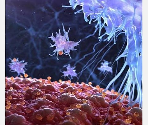 பாக்டீரியாக்களுக்கு எதிரான செல்கள் அதிக அளவில் செயலாற்றுவதே தீவிர கரோனா பாதிப்புக்குக் காரணம்: ஆய்வில் தகவல்