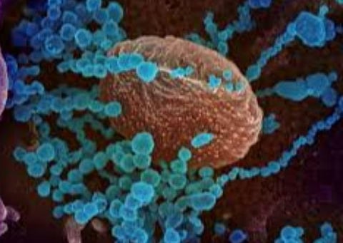 குறையும் கரோனா பாதிப்பு; மொத்த பாதிப்பில் சிகிச்சை பெறுவோர் எண்ணிக்கை 15.11%