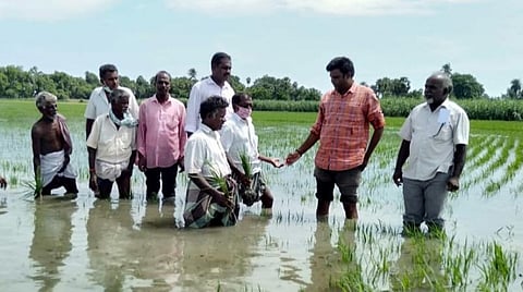 நீரில் மூழ்கிய நெற்பயிர்களை அதிகாரிகளிடம் காட்டும் விவசாயிகள்.