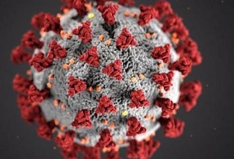 புதுச்சேரியில் புதிதாக 514 பேருக்குக் கரோனா; மேலும் 7 பேர் உயிரிழப்பு