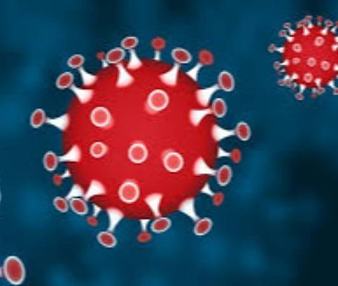 பிரதிநிதித்துவப் படம்