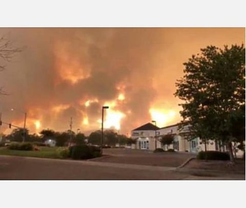 வரலாறு காணாத காட்டுத் தீ: கலிபோர்னியாவில் 40 லட்சம் ஏக்கர் நிலங்கள் தீக்கிரையாகின