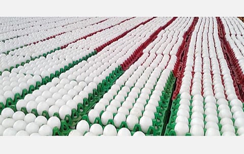 நாமக்கல்லில் உள்ள குடோனில் விற்பனைக்காக அடுக்கி வைக்கப்பட்டுள்ள முட்டை.