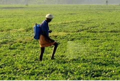 கிசான் சம்மன் திட்டத்தில் இடைத்தரகர் கைது: சிபிசிஐடி போலீஸார் நடவடிக்கை
