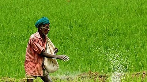 பயிர்க் கடனை மத்தியக் கூட்டுறவு வங்கிகளில் ‘மிரர் அக்கவுன்ட்’ மூலம் பெற அரசு நிபந்தனை: கிராமப்புற விவசாயிகள் அதிர்ச்சி