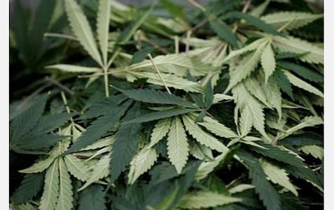 ஆந்திராவில் இருந்து மோட்டார் சைக்கிளில் 4 கிலோ கஞ்சா கடத்தி வந்த 2 இளைஞர்கள் கைது