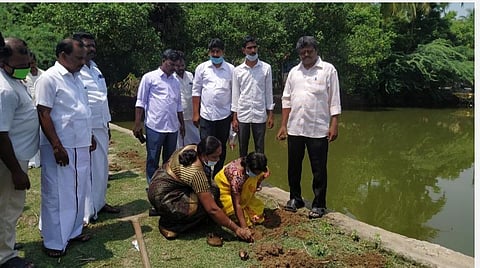 மயிலாடுதுறையில் ஒரு லட்சம் பனை விதைகள் விதைப்பு: கொள்ளிடத்தில் தொடக்கம்
