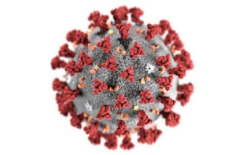 கரோனா வைரஸை மனிதர்கள் உருவாக்க முடியாது - பென்சில்வேனியா பல்கலைக்கழக பேராசிரியர் சூசன் வைஸ் உறுதி